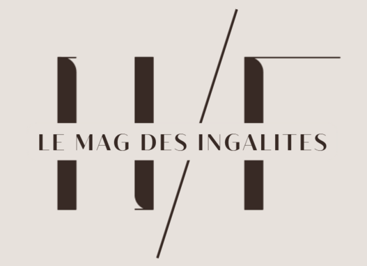 LOGO LMDI.png